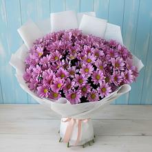 Букет цветов из:  Хризантемы в Россоше