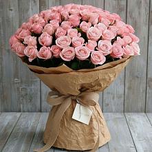 Букет 151 Роза Роуз #REPLACE_PRED# Россоше