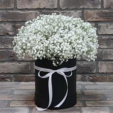 Цветочная композиция из Гипсофила в шляпной коробке в Россоше